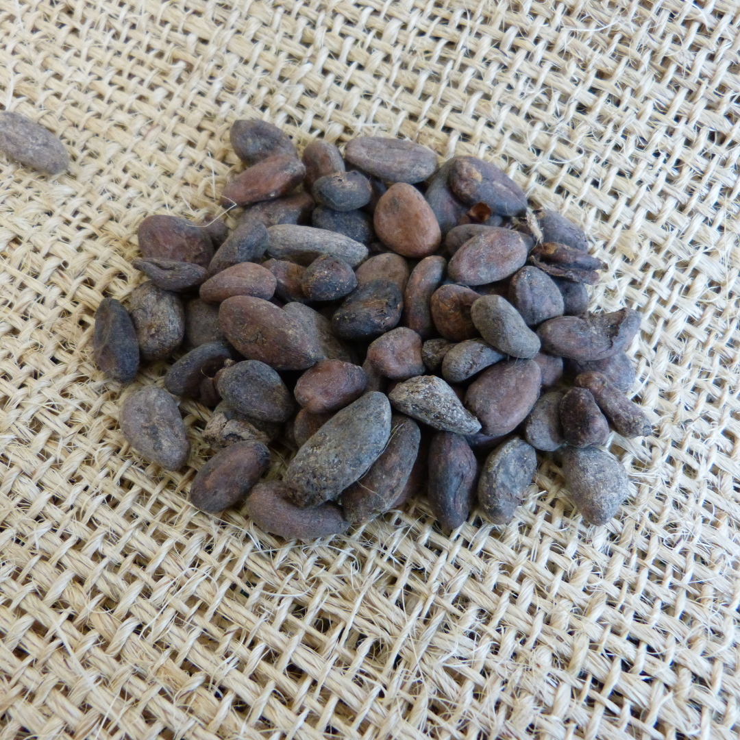 Fèves de cacao