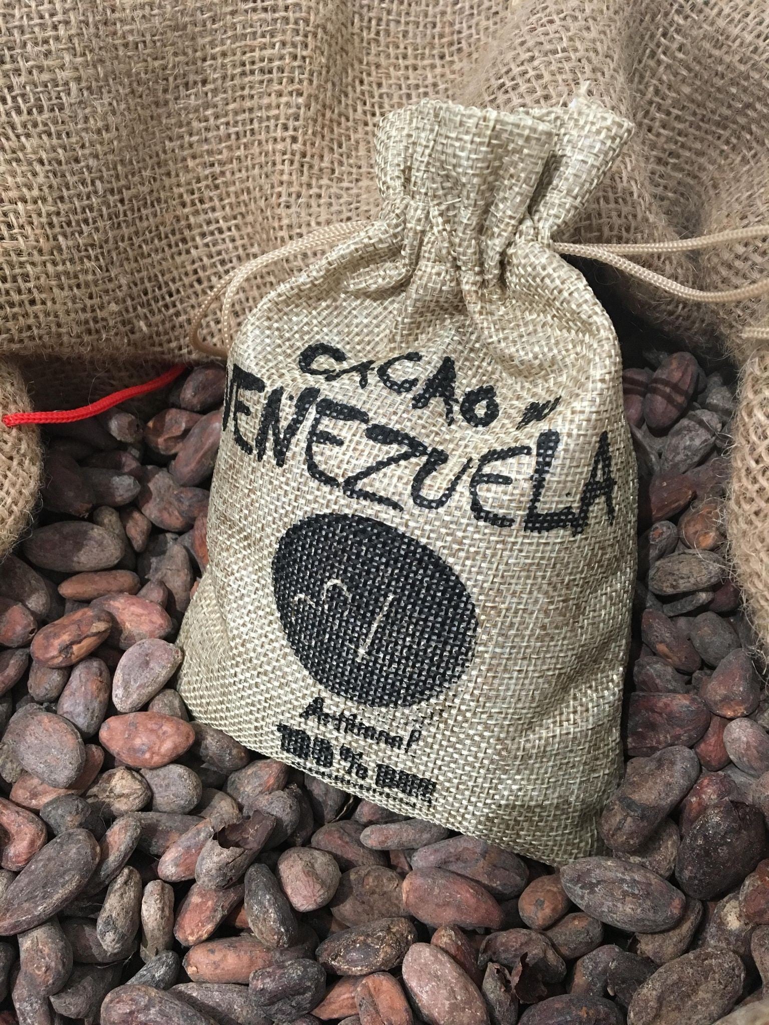 Fèves de cacao